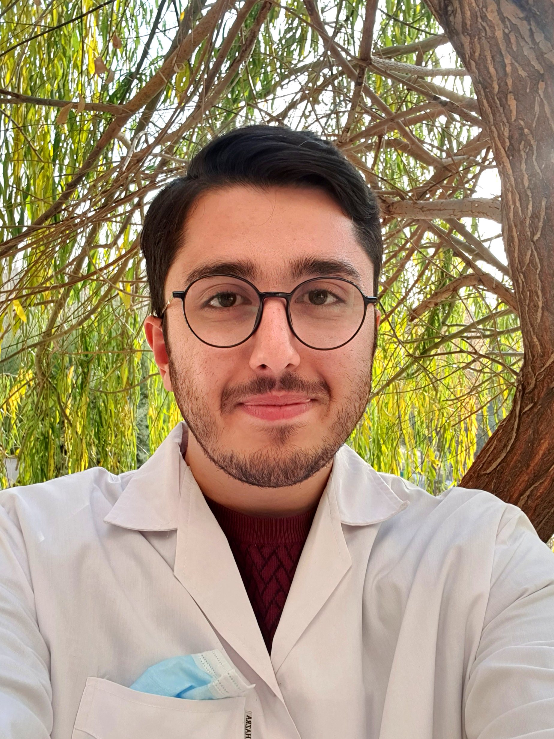 ​​​​​​​​Mahdi Rostami